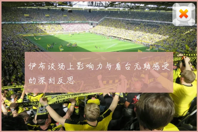 伊布谈场上影响力与看台无助感受的深刻反思