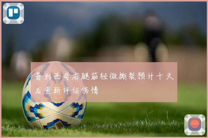 普利西奇右腿筋轻微撕裂预计十天后重新评估伤情
