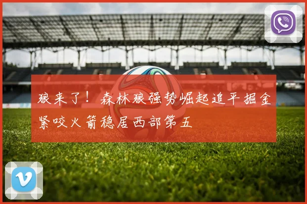狼来了！森林狼强势崛起追平掘金紧咬火箭稳居西部第五